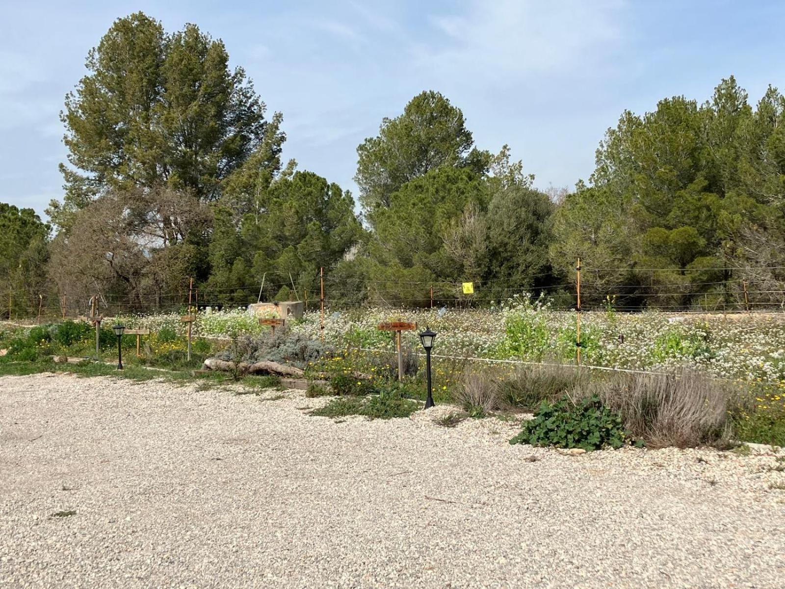 With Private Pool And Garden * San Martín Sarroca