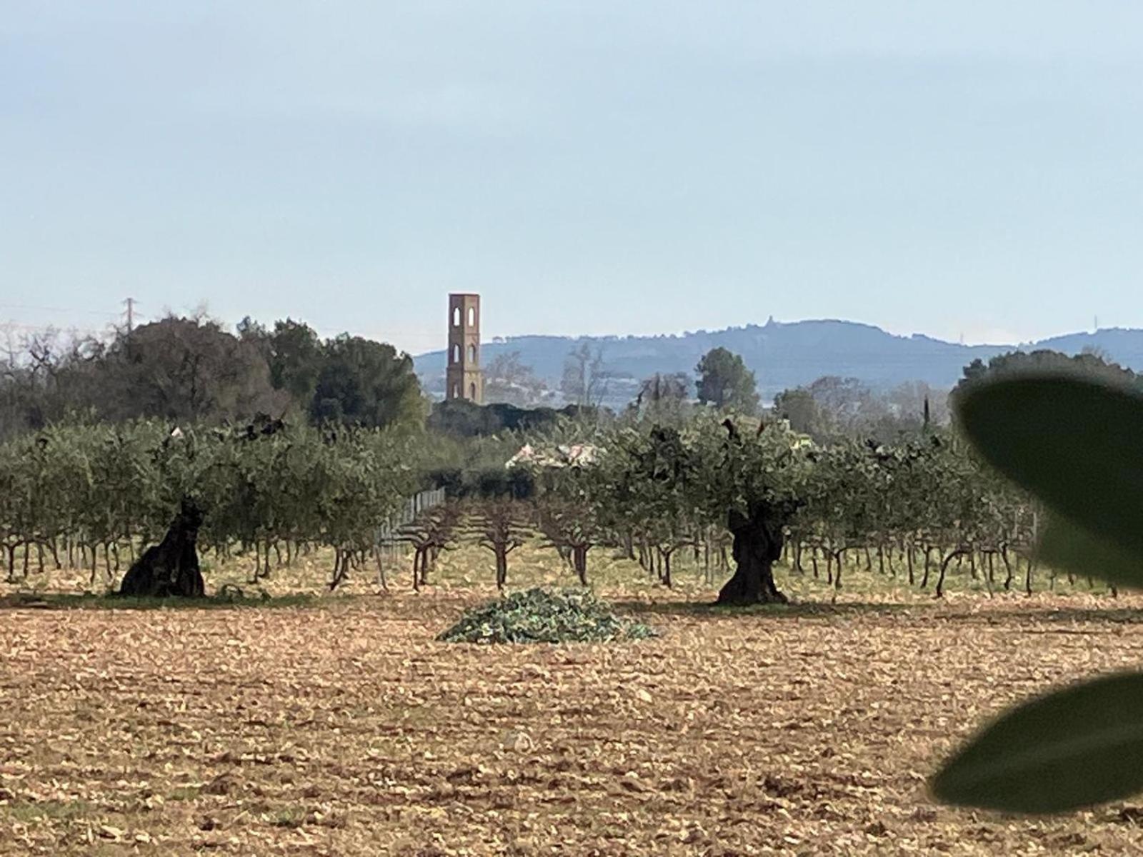 With Private Pool And Garden San Martin Sarroca
