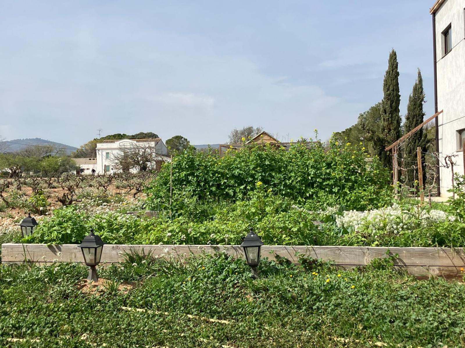 With Private Pool And Garden Apartment *